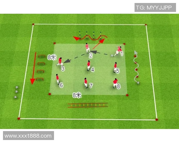 足球球星训练包的多重功能及其对提升球员技能的作用解析